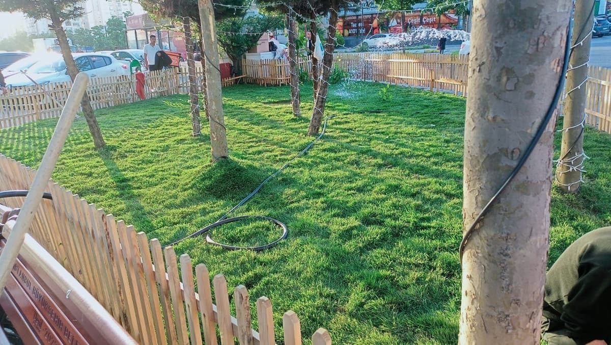 Profesyonel bahçe çim serimi İstanbul