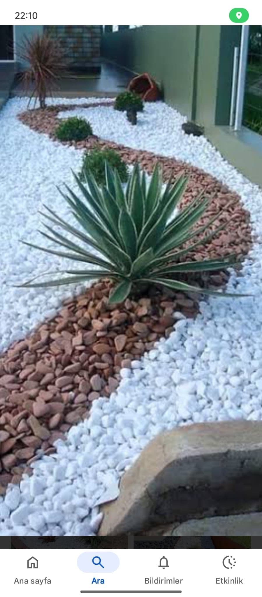 Agave ve renkli dekoratif taşla bahçe düzenlemesi